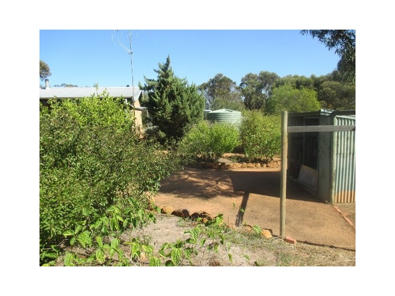 31 Chillicup Road, Broomehill WA 6318