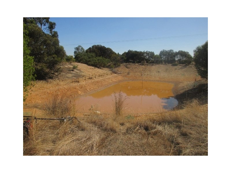 31 Chillicup Road, Broomehill WA 6318