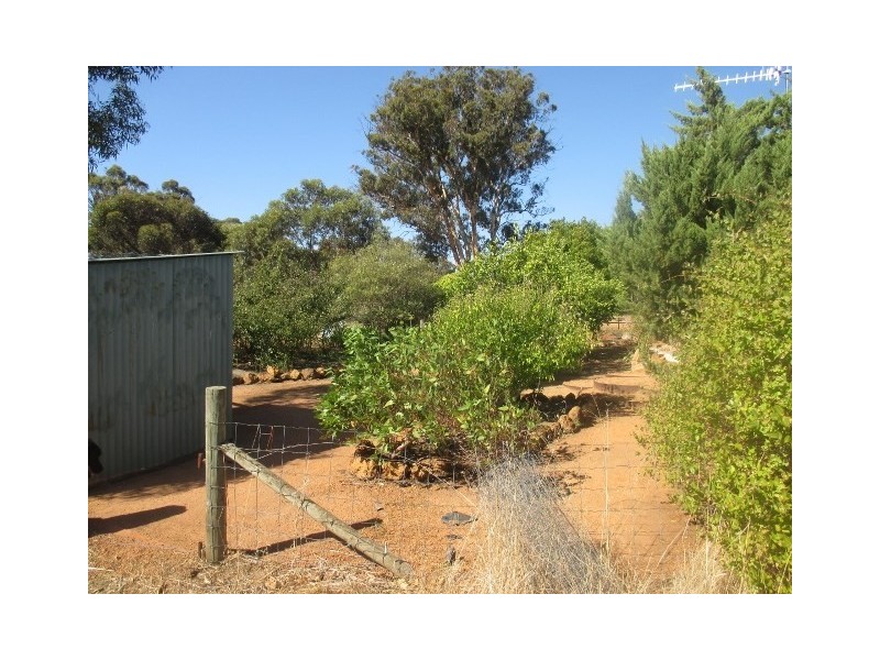 31 Chillicup Road, Broomehill WA 6318