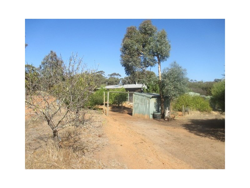31 Chillicup Road, Broomehill WA 6318