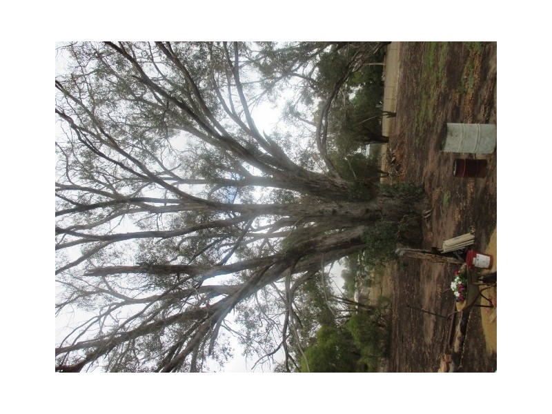 94 Tambellup West Road, Tambellup WA 6320