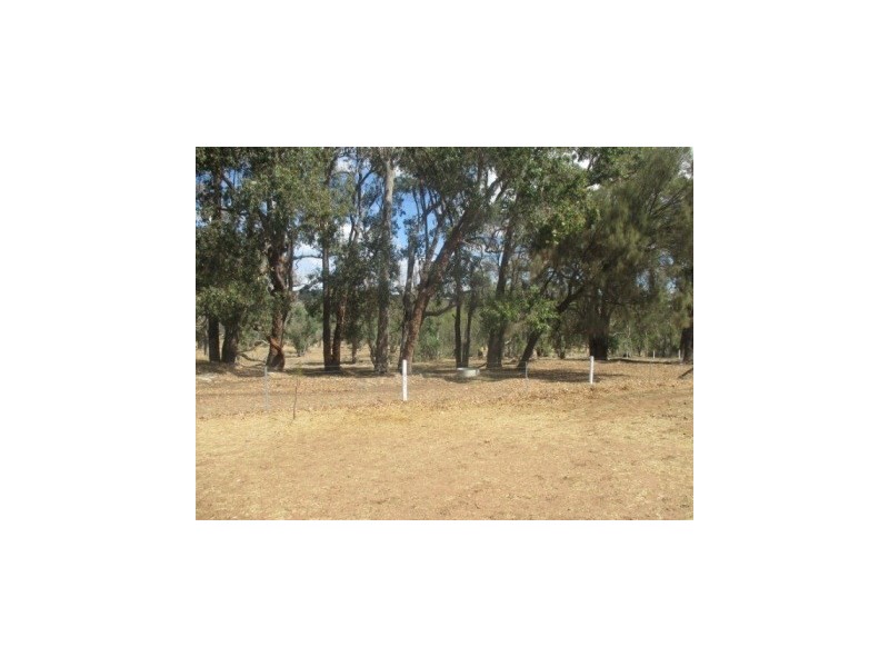 lot 21 Boyup Brook-Kojonup Road, Muradup WA 6394