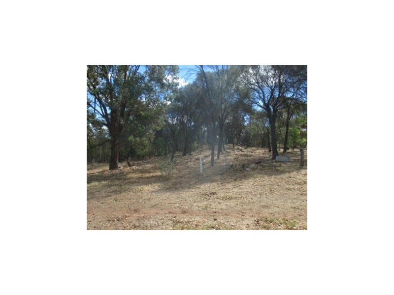 lot 21 Boyup Brook-Kojonup Road, Muradup WA 6394