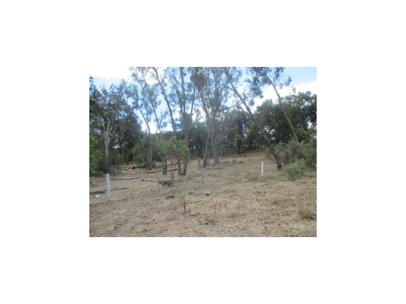 lot 21 Boyup Brook-Kojonup Road, Muradup WA 6394