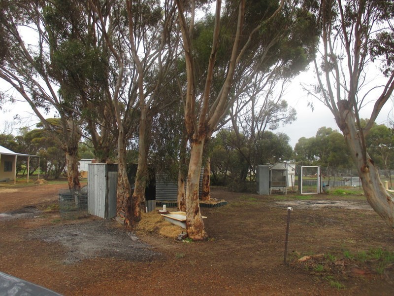 201 Walsh Road, Gnowangerup WA 6335