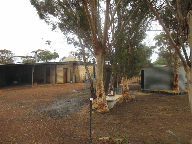 201 Walsh Road, Gnowangerup WA 6335