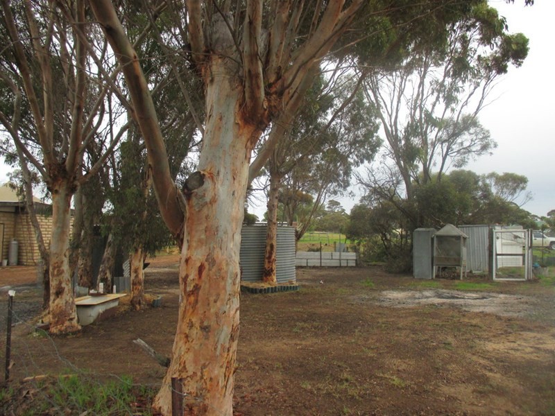 201 Walsh Road, Gnowangerup WA 6335