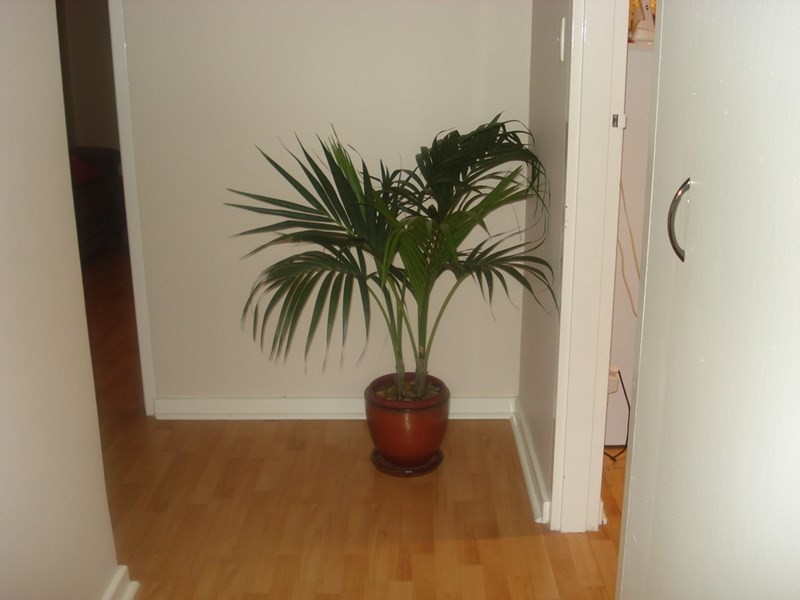 44 Adam Street, Katanning WA 6317