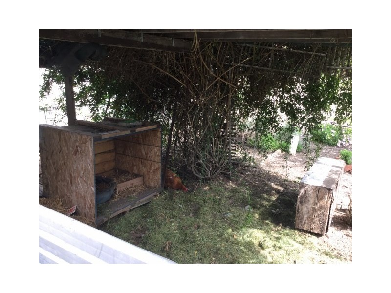 12 Rogers Avenue, Katanning WA 6317