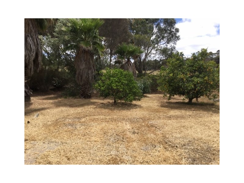 89 Newstead Road, Kojonup WA 6395