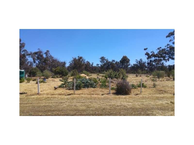 20 Jewel Street, Broomehill WA 6318