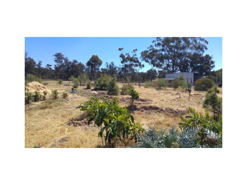 20 Jewel Street, Broomehill WA 6318