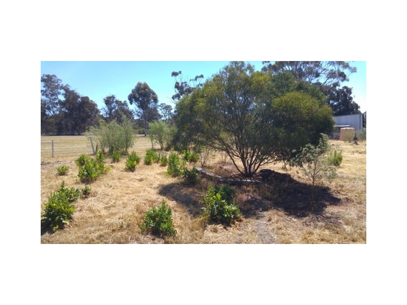 20 Jewel Street, Broomehill WA 6318