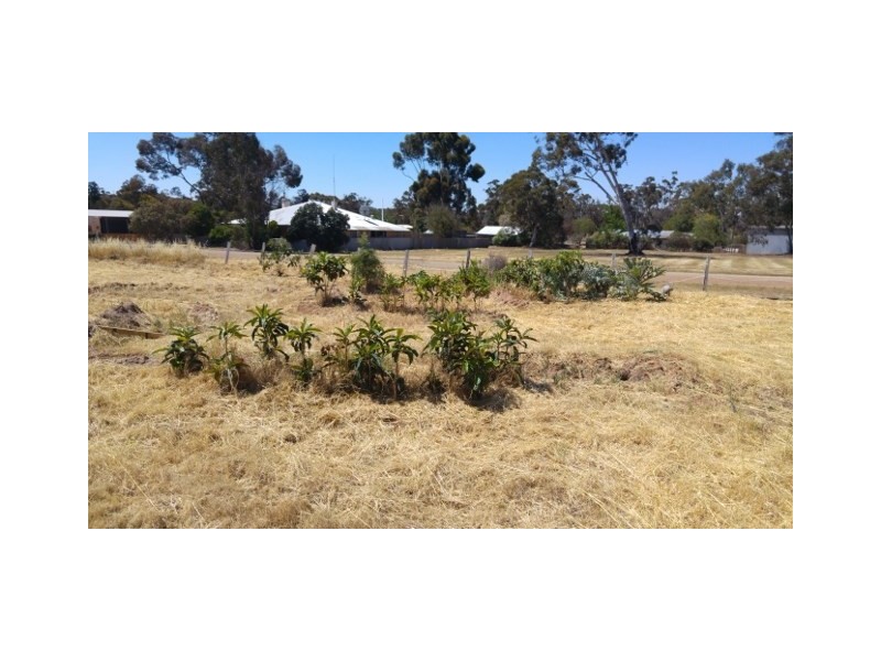 20 Jewel Street, Broomehill WA 6318