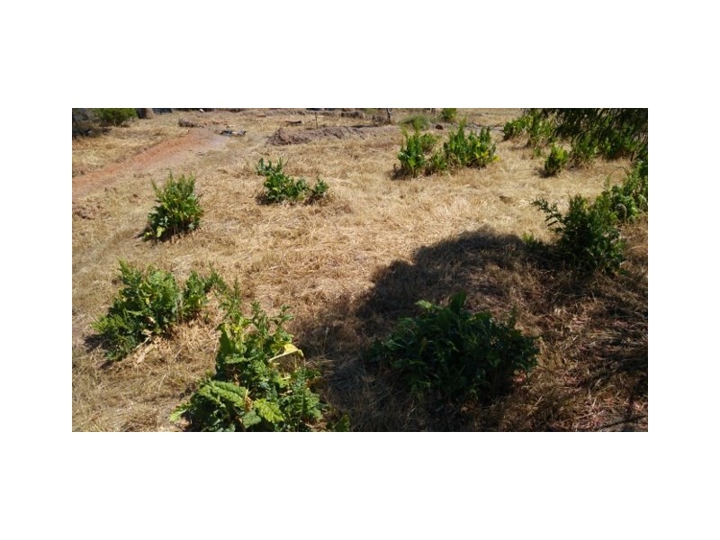 20 Jewel Street, Broomehill WA 6318