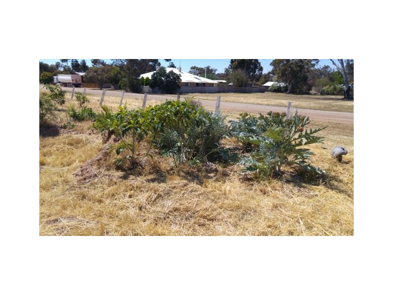 20 Jewel Street, Broomehill WA 6318