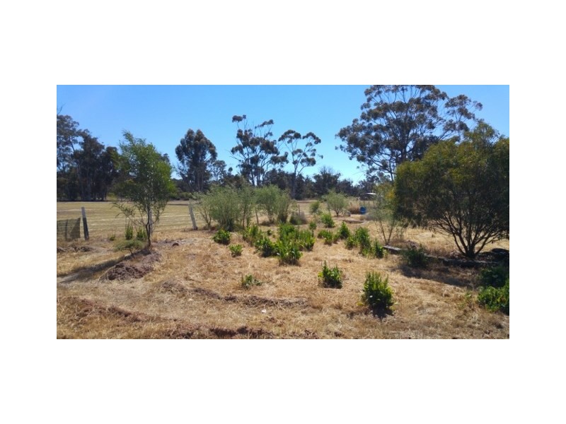 20 Jewel Street, Broomehill WA 6318