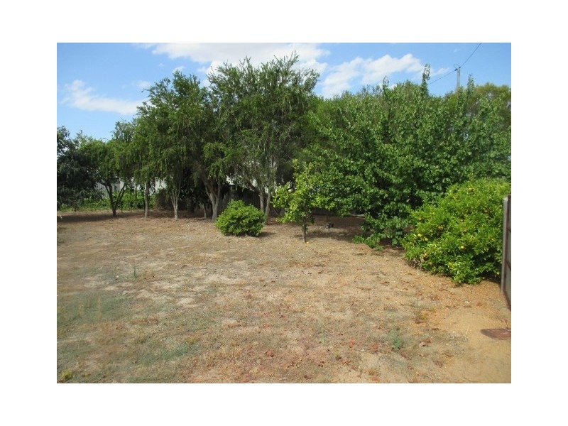 83 Albany Highway, Kojonup WA 6395