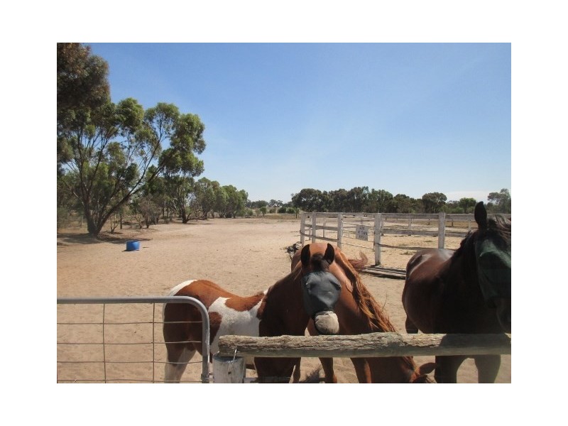 43 Forrest Hill Road, Katanning WA 6317