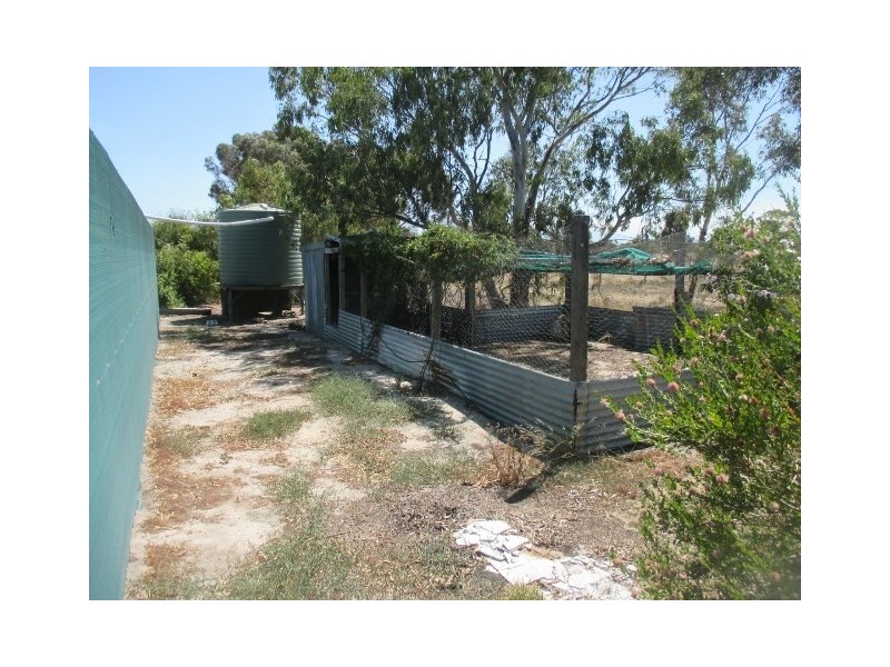 43 Forrest Hill Road, Katanning WA 6317