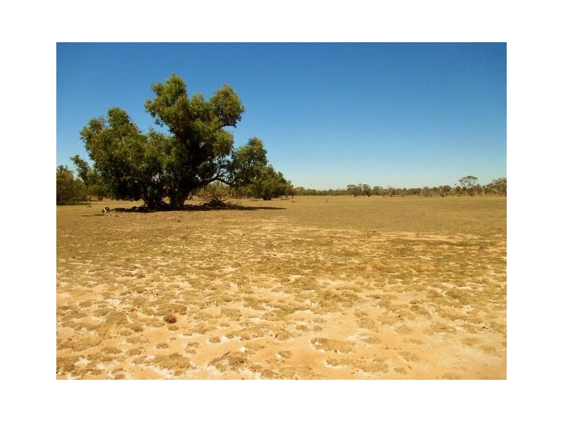 1887 Kojonup-Katanning Road, Katanning WA 6317