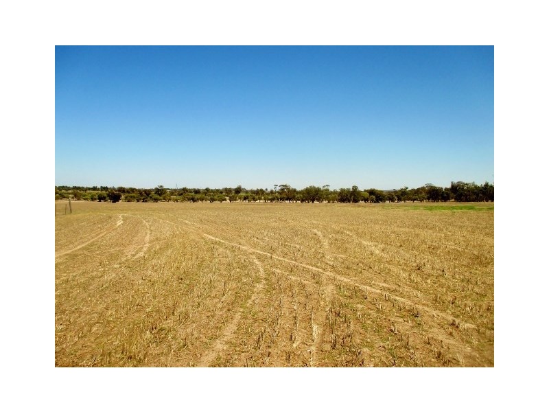 1887 Kojonup-Katanning Road, Katanning WA 6317