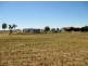 1887 Kojonup-Katanning Road, Katanning WA 6317