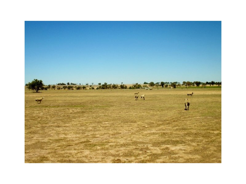 1887 Kojonup-Katanning Road, Katanning WA 6317