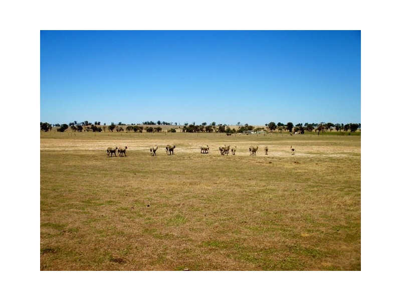 1887 Kojonup-Katanning Road, Katanning WA 6317
