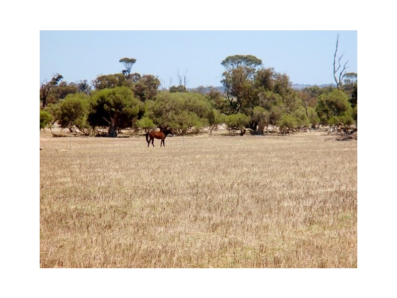 1887 Kojonup-Katanning Road, Katanning WA 6317