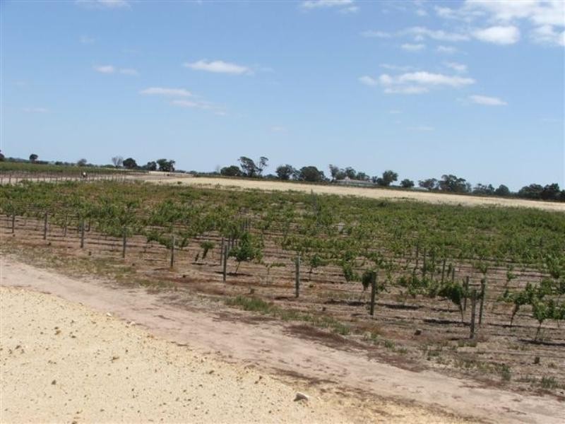 Lot 421 Great Southern Highway, Broomehill WA 6318