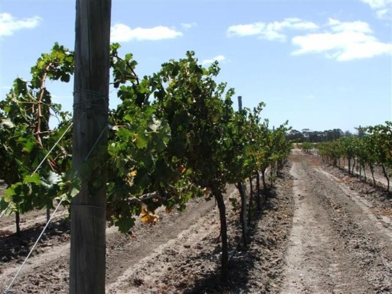 Lot 421 Great Southern Highway, Broomehill WA 6318