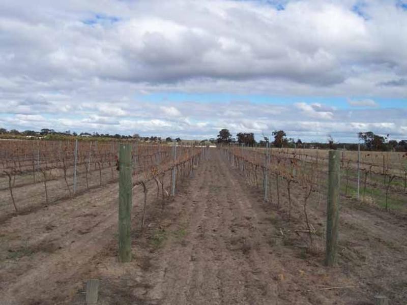 Lot 421 Great Southern Highway, Broomehill WA 6318