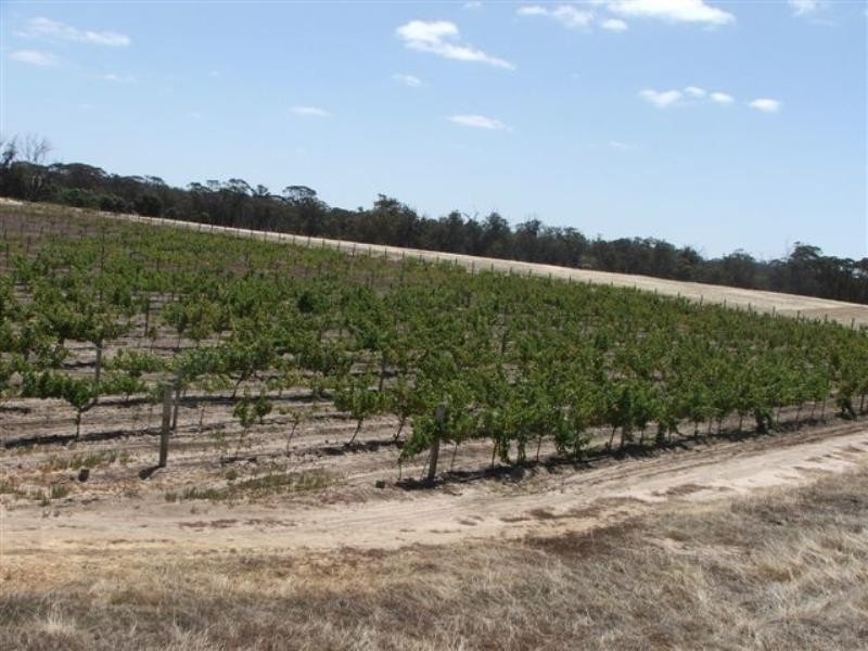 Lot 421 Great Southern Highway, Broomehill WA 6318