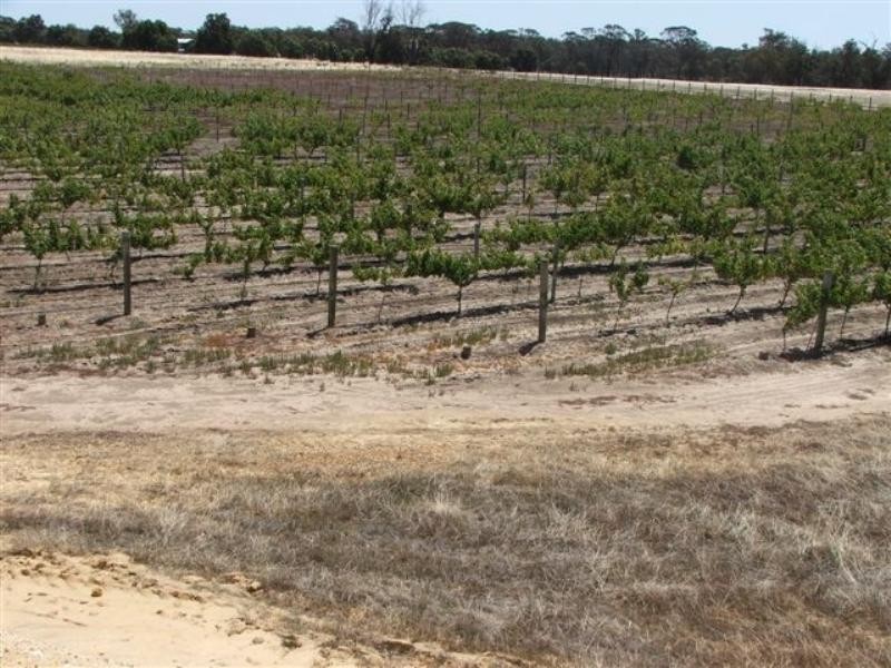 Lot 421 Great Southern Highway, Broomehill WA 6318