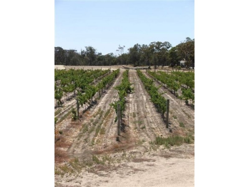 Lot 421 Great Southern Highway, Broomehill WA 6318