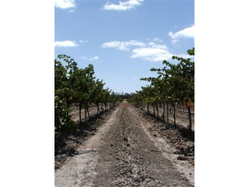 Lot 421 Great Southern Highway, Broomehill WA 6318