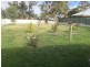 70 Rogers Avenue, Katanning WA 6317