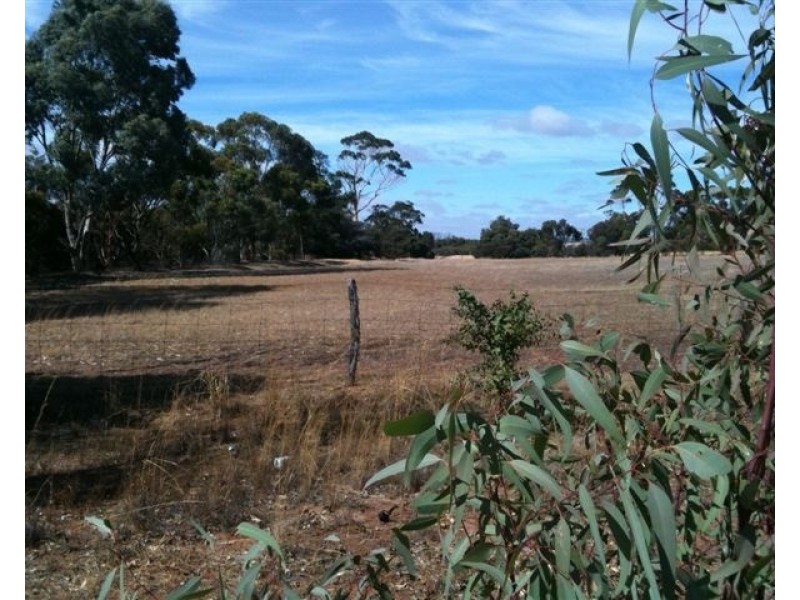 106 Wanke Street, Katanning WA 6317