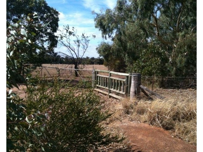 106 Wanke Street, Katanning WA 6317