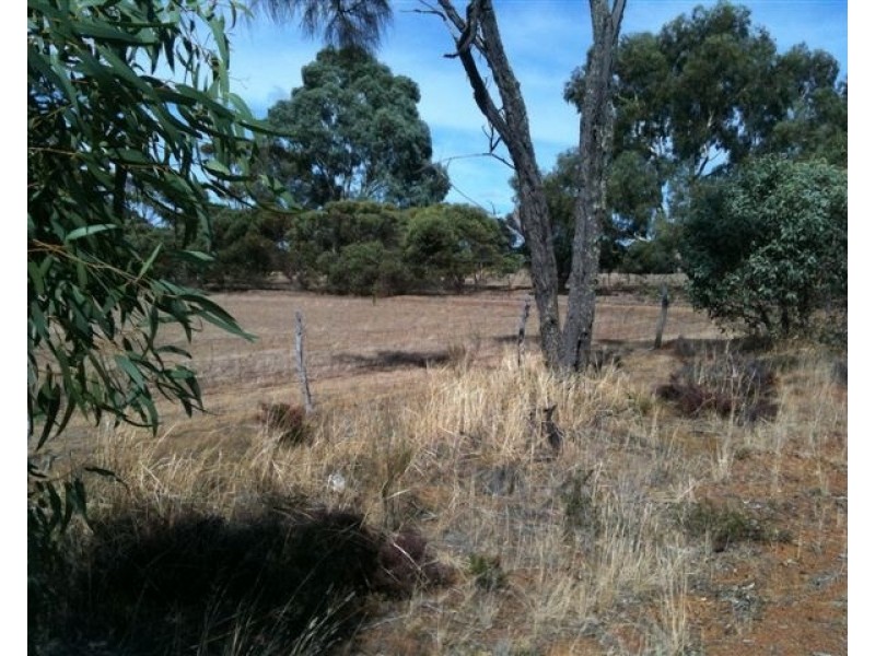 106 Wanke Street, Katanning WA 6317