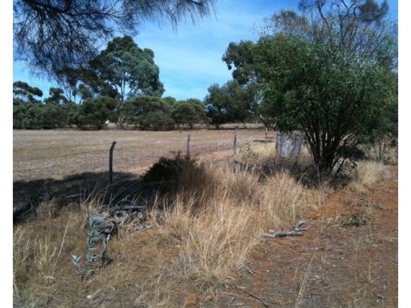 106 Wanke Street, Katanning WA 6317