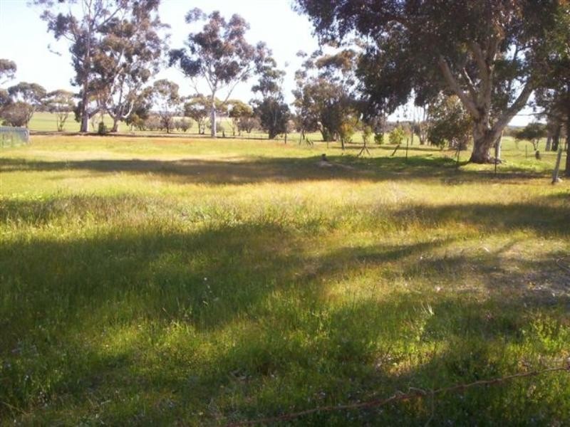 28 Andover Street, Katanning WA 6317