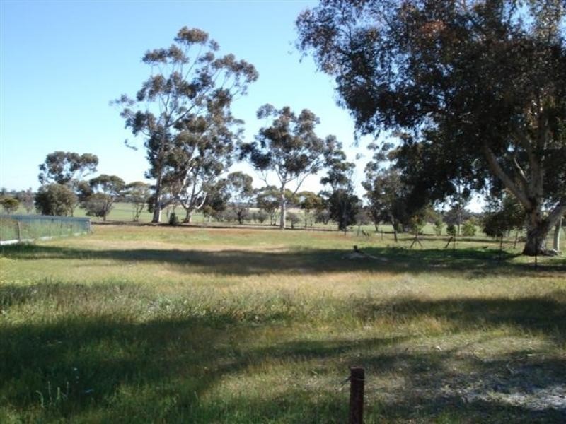 28 Andover Street, Katanning WA 6317