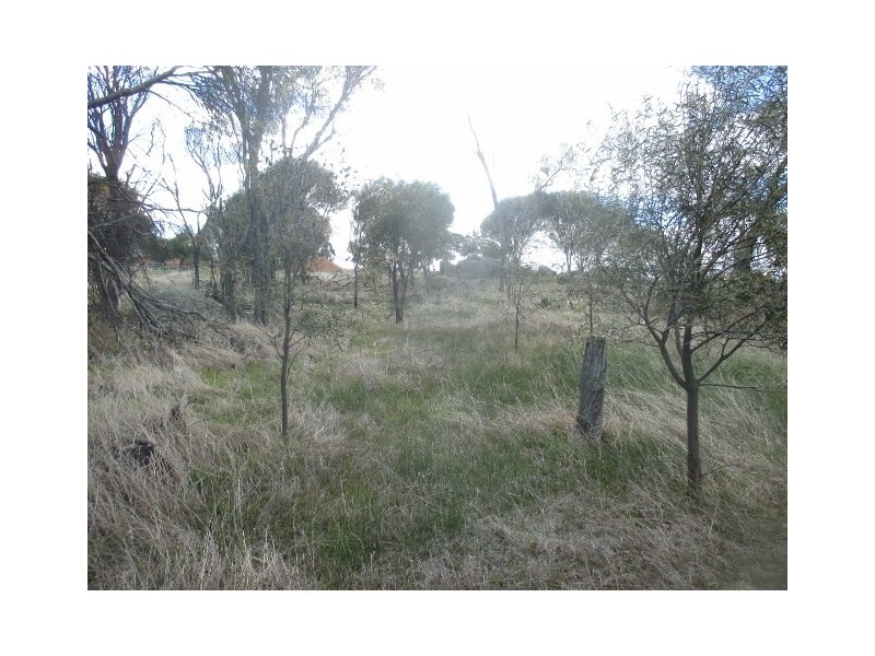 157 Prosser Road, Woodanilling WA 6316