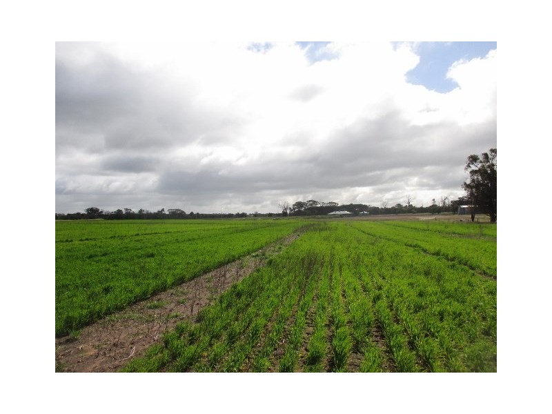 3110 Katanning-Nyabing Road, Katanning WA 6317