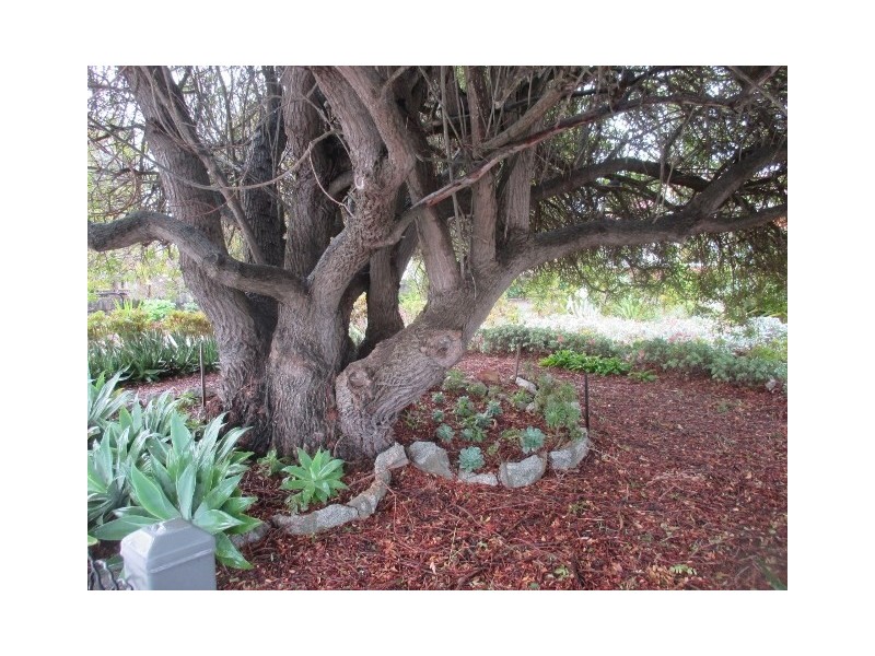 35 Adam Street, Katanning WA 6317