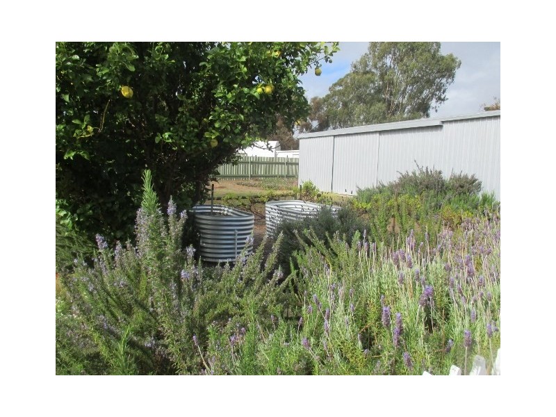 35 Adam Street, Katanning WA 6317