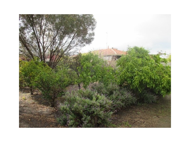 35 Adam Street, Katanning WA 6317