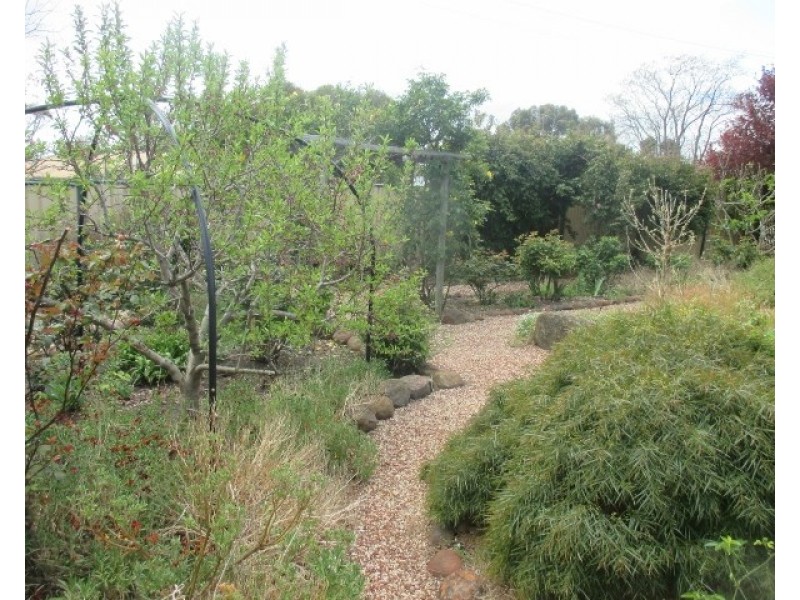 15 Beach Street, Katanning WA 6317